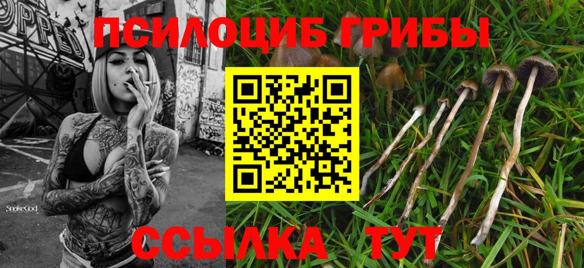 Чехов  Псилоцибиновые грибы Magic Shrooms  Вход с VPN  Галлюциногенные грибы ЛСД 