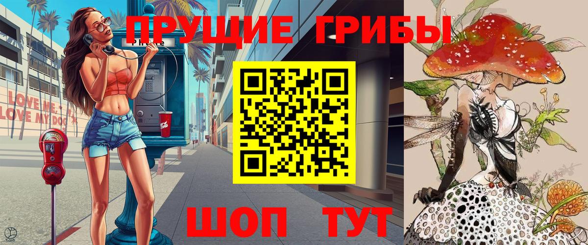 Псилоцибиновые грибы прущие грибы Чехов